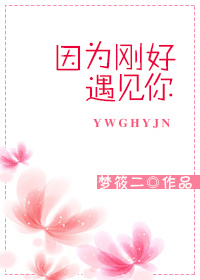 因为刚好遇见你小说全文免费阅读